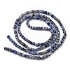 Natural Sodalite Beads Strands G-G0005-A01-3