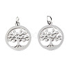 304 Stainless Steel Pendants STAS-T046-JA350-1A-P-3