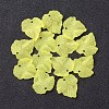 Autumn Theme Transparent Frosted Acrylic Pendants X-PAF002Y-17-2