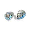 Electroplate Glass Beads EGLA-C008-01A-FR02-2