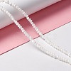 Natural Trochid Shell/Trochus Shell Beads Strands X-SSHEL-O001-24B-02-5