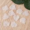Transparent Frosted Acrylic Leaf Pendants X-PAF002Y-14-4