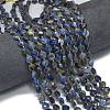 Natural Sodalite Beads Strands G-K389-B31-01-2