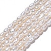 Natural Cultured Freshwater Pearl Beads Strands PEAR-N012-02I-2