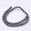 Natural Black Larvikite Bead Strands G-G735-57F-6mm-2
