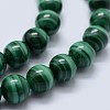 Natural Malachite Beads Strands G-F571-27AA1-8mm-3