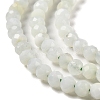 Natural Green Opal Beads Strands G-Z035-A02-02C-4