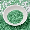 MIYUKI Delica Beads SEED-X0054-DB2188-2