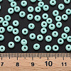 6/0 Glass Seed Beads SEED-T005-14-B25-6