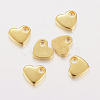 304 Stainless Steel Charms STAS-F162-36G-1
