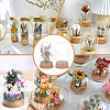 10Pcs Glass Dome Cover AJEW-BC0006-86-6