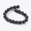 Natural Golden Sheen Obsidian Beads Strands G-C076-10mm-5-2