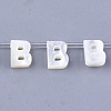Natural Sea Shell Beads SHEL-T012-60B-1
