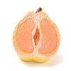 Opaque Resin Imitation Fruit Cabochons RE-CBA068D-03B-01-1
