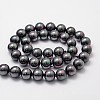Shell Pearl Bead Strands X-BSHE-L025-05-8mm-2