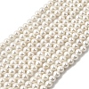 Electroplated Shell Pearl Beads Strands BSHE-K017-5mm-1
