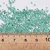 Natural Beryl Beads G-Z016-12-2