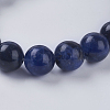 Natural Sodalite Beads Strands X-G-G515-10mm-07-3