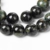 Natural Kambaba Jasper Beads Strands X-G-M172-6mm-01-1