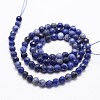 Natural Sodalite Beads Strands X-G-D840-19-4mm-2