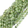 Natural Prehnite Beads Strands G-O201B-19-2