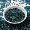 MIYUKI Round Rocailles Beads X-SEED-G009-RR3743-2