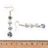 Natural Larimar Dangle Earrings EJEW-JE07529-5