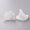 Transparent Acrylic Beads BSF796-2