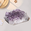 Natural Amethyst Cluster Ornaments DJEW-PA0001-07-7