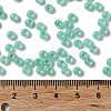 Glass Seed Beads SEED-H002-E-A1417-4