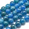 Natural Apatite Beads Strands G-O186-E02-8mm-2