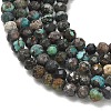 Natural African Turquoise(Jasper) Beads Strands G-RM241221-B9-4