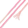 10 Skeins 6-Ply Polyester Embroidery Floss OCOR-K006-A28-3