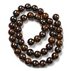 Natural Yellow Tiger Iron Beads Strands G-C079-A03-02-3