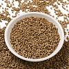Baking Paint Glass Seed Beads X-SEED-S042-05B-40-2