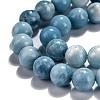 Natural Gemstone Beads Strands G-L367-01-10mm-5