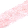 Natural Madagascar Rose Quartz Beads Strands G-G018-13-1