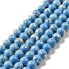 Synthetic Turquoise and Sea Shell Assembled Beads Strands G-D482-01C-04-2