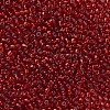 6/0 Glass Seed Beads SEED-A005-4mm-25-2