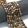 Natural Zebra Jasper Beads Strands G-K389-B69-01-1