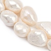 Natural Cultured Freshwater Pearl Beads Strands PEAR-P064-20M-01A-4