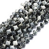 Natural Eagle Eye Stone Beads Strands G-E569-C10-1