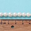 Shell Pearl Bead Strands BSHE-L026-03-6mm-7