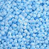 Lustered Glass Seed Beads SEED-K010-04B-2