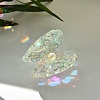Glass Display Decorations PW-WG77682-01-3