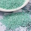 MIYUKI Delica Beads SEED-MY11-DB1707-1