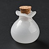 Lucky Bag Shape Glass Cork Bottles Ornament AJEW-A039-02E-2