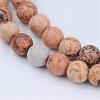 Natural Picture Jasper Beads Strands G-Q462-6mm-35-1