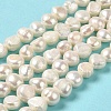Natural Cultured Freshwater Pearl Beads Strands PEAR-E017-13-2