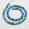 Natural Apatite Beads Strands G-D856-01-10mm-2